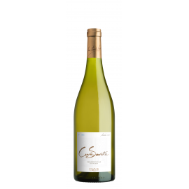 Languedoc blanc cuvée secrète sans sulfite chardonnay 2015 bio