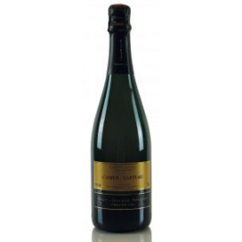 Magnum champagne grande réserve  millésime 2010