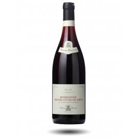 Bourgogne rouge hautes-côtes de nuits 2023