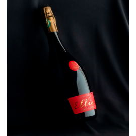 Champagne brut cuvée fût de chêne 2017 Camus-Sartore