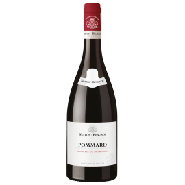 Bourgogne rouge Pommard 2019