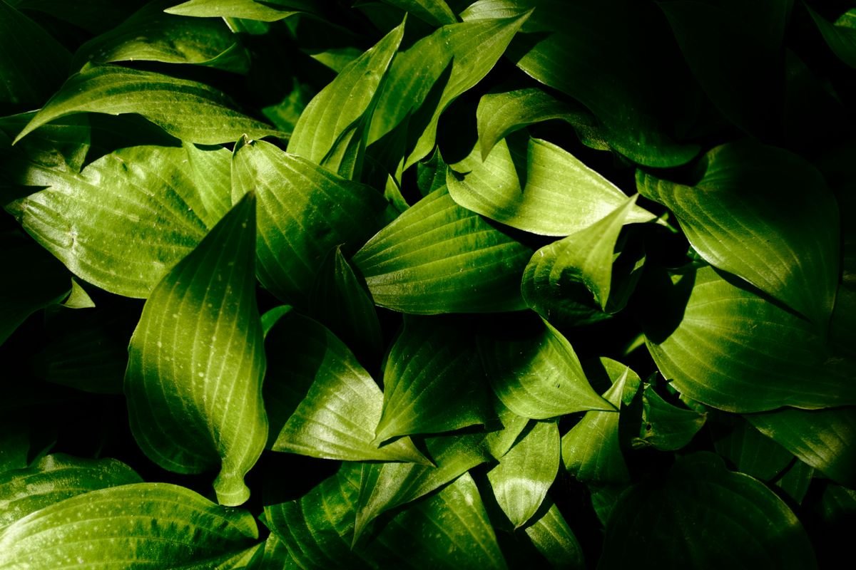 Photo d'illustration de l'article à la une